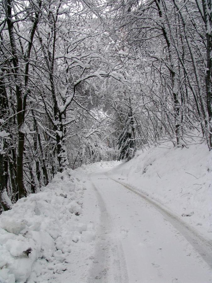 Rifugio Escursionistico La Ruà Macra Exterior foto